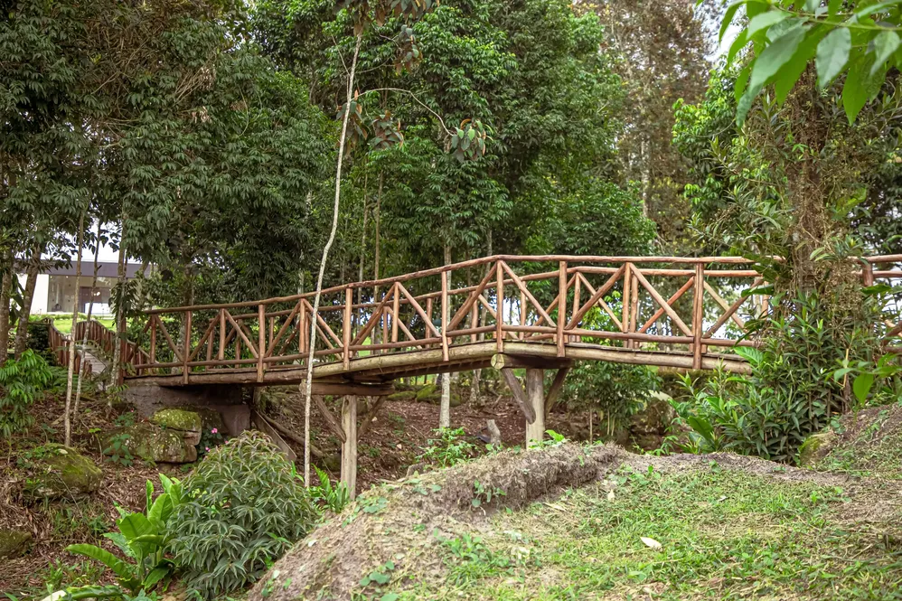 espacios header